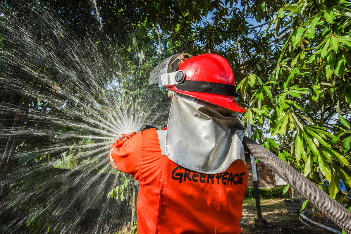 FFP Training in Kubu Raya, West Kalimantan. © Jurnasyanto Sukarno / Greenpeace