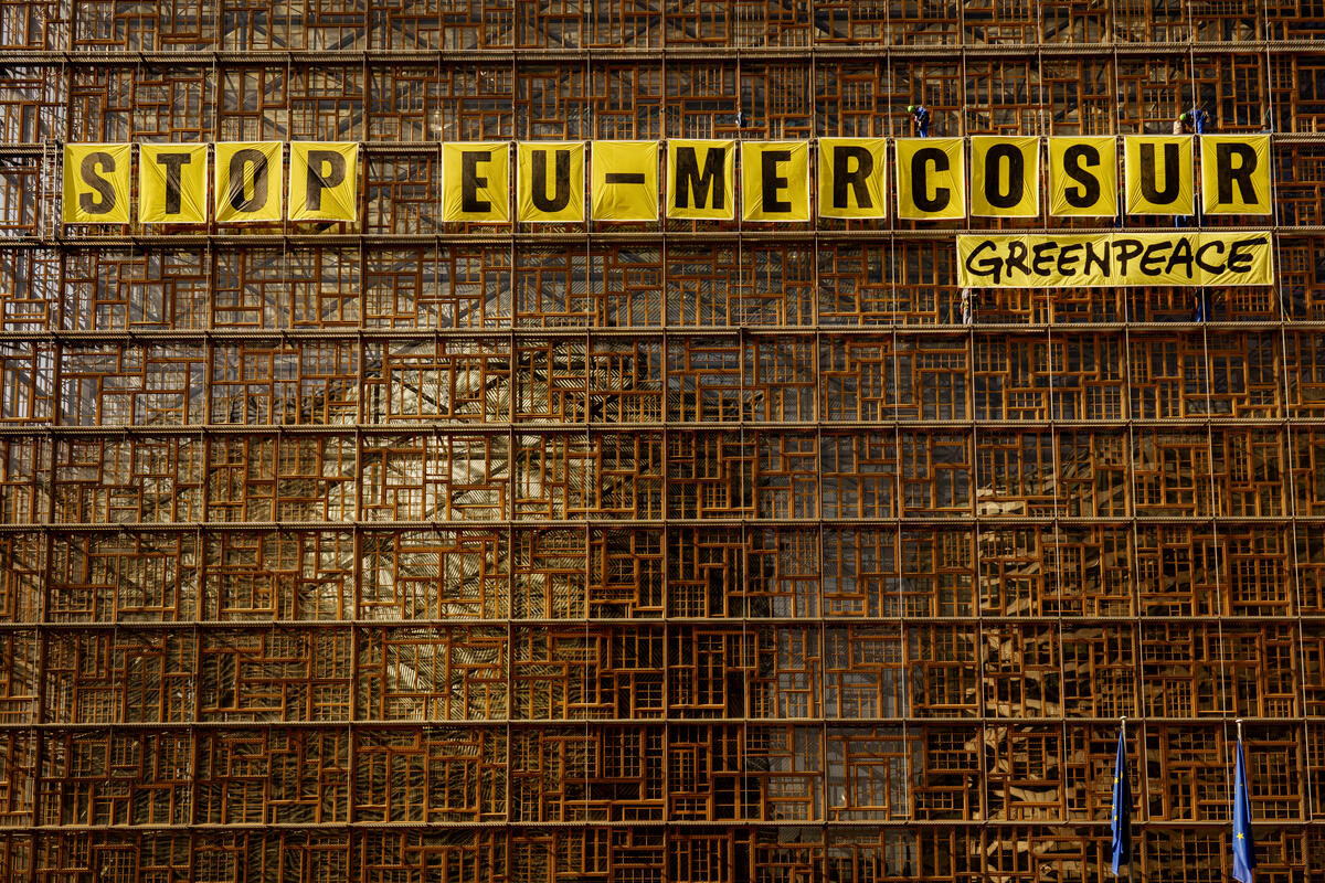 Stop EU-Mercosur Trade - Action in Brussels. © Eric De Mildt / Greenpeace