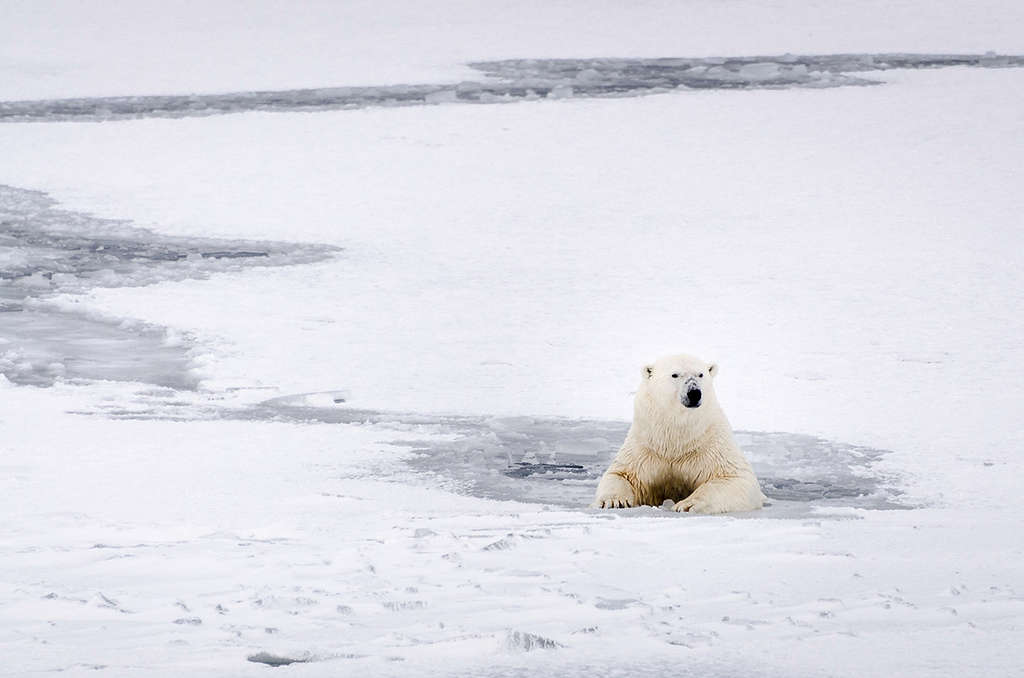 World Photography Day Through The Lens Of Greenpeace Greenpeace New Zealand