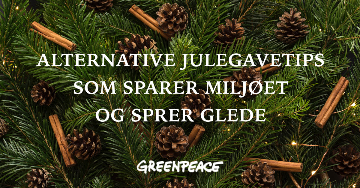 Tips til alternative og miljøvennlige julegaver - Greenpeace Norge