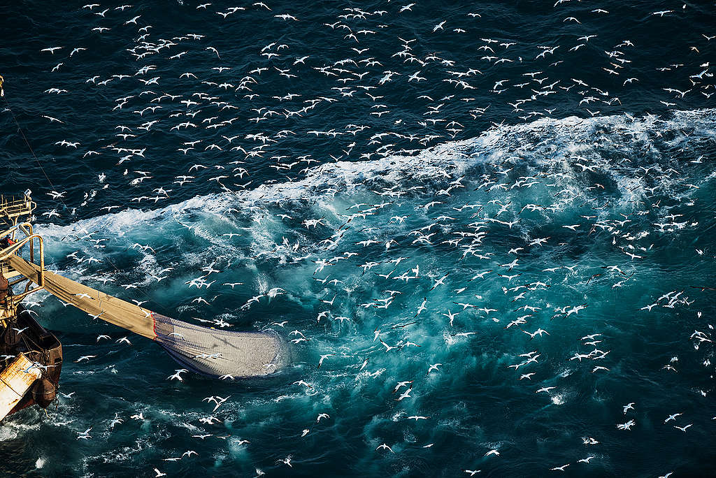 Fishing Activities in the English Channel. © Christian Åslund / Greenpeace