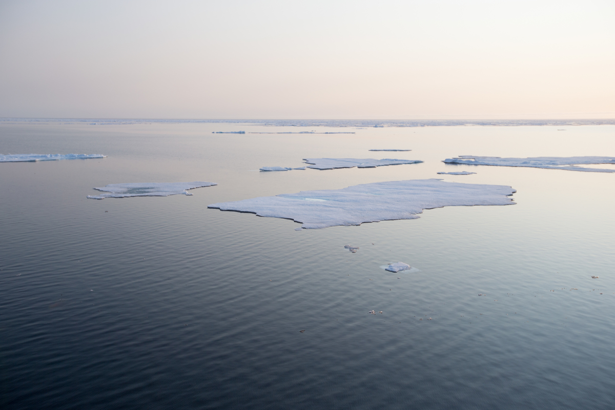 Arctic Sea Ice. © Nick Cobbing / Greenpeace