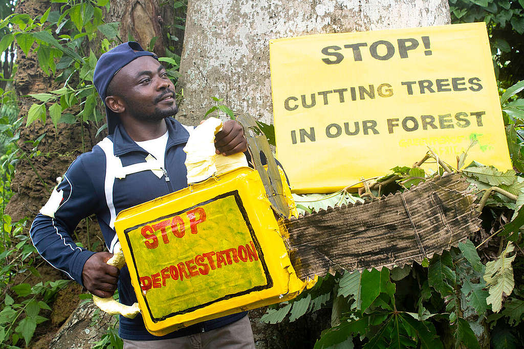 I anledning den internasjonale dagen for biologisk mangfold poserer frivillige fra Greenpeace Afrika i skogen i Kamerun for å skape bevissthet om det rike biologiske mangfoldet i Kongobassenget.