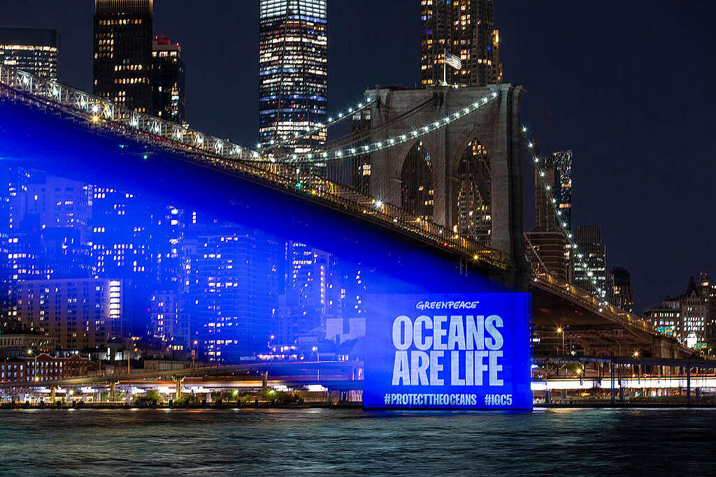 Greenpeace projiserte en tydelig beskjed til FN-landene på Brooklyn Bridge i New York under forrige havforhandlingsrunde i 2022. ©  POW / Greenpeace Budskapet var: "Oceans are Life"