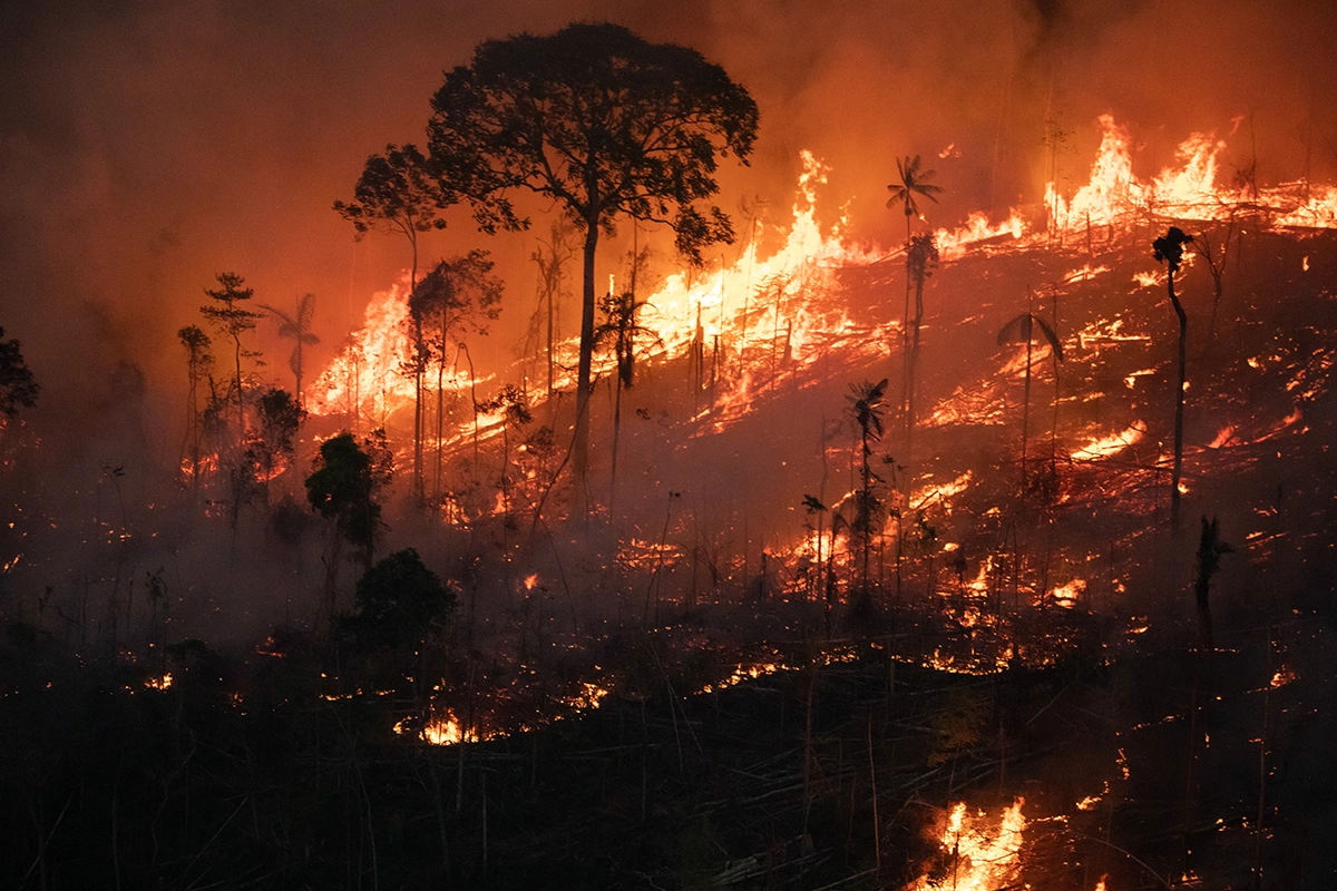 Fire and Deforestation in Porto Velho in the Amazon in Brazil