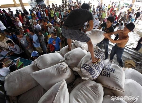 Seeds Distribution For Typhoon Hagupit Affected Farmers in Dolores, Eastern Samar. 12/19/2014 © Charlie Saceda / Greenpeace