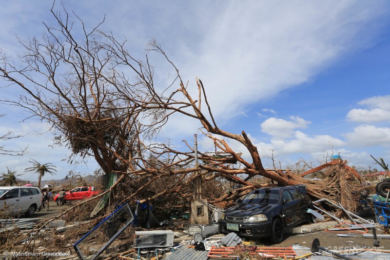 A car is pinned down under a tree in Tacloban City after Typhoon Haiyan made a landfall last Saturday, November 8, 2013 leaving hundreds dead and thousands still missing.