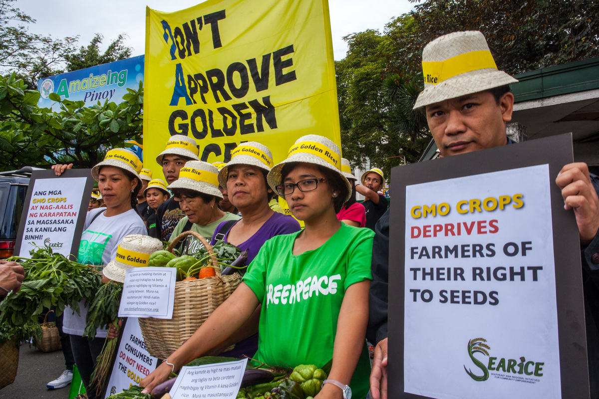 Action at the Department of Agriculture in Quezon City. © Luis Liwanag / Greenpeace