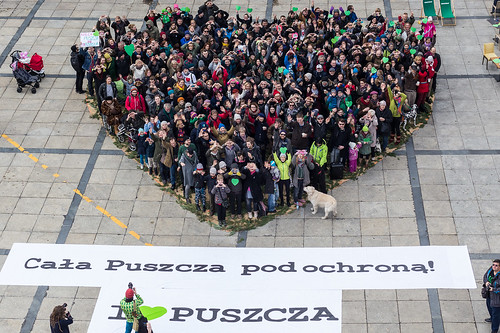 #KochamPuszcze - walentynka dla Puszczy Białowieskiej
