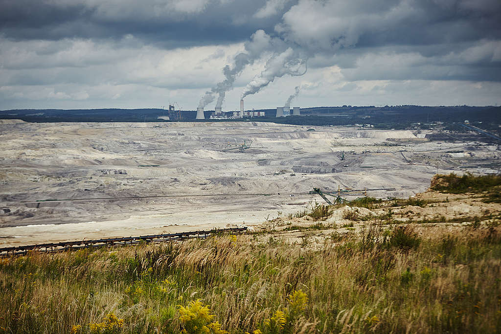 "Climate crisis? F*ck it!" - Greenpeace activists protest ...