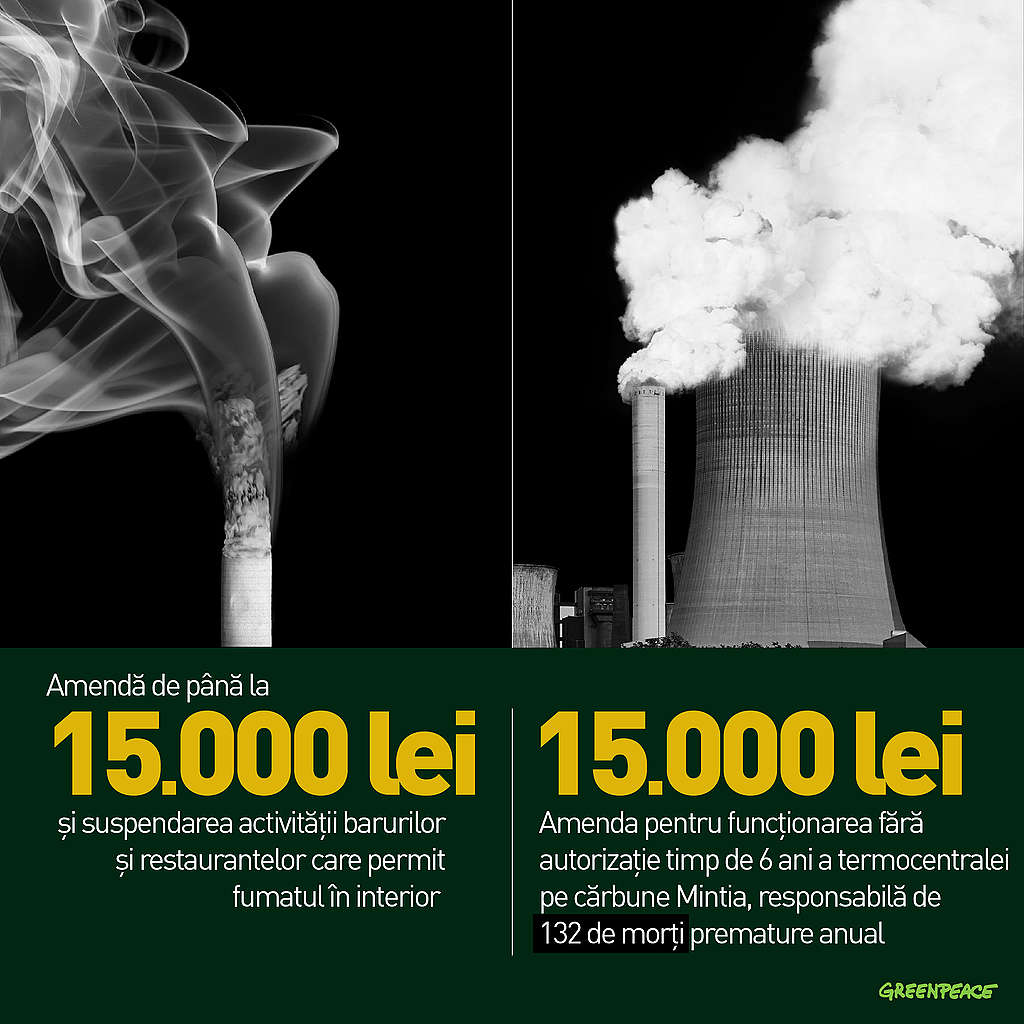România, subiectul unui nou infringement de mediu din partea Comisiei  Europene - Greenpeace România
