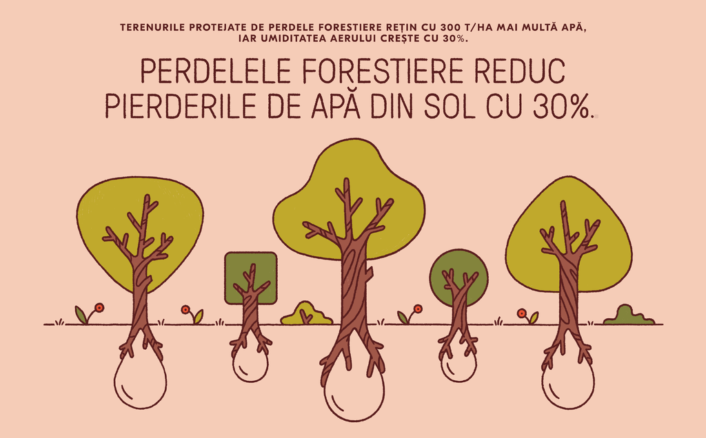 1 miliard de euro pentru Bariera Verde - Greenpeace România