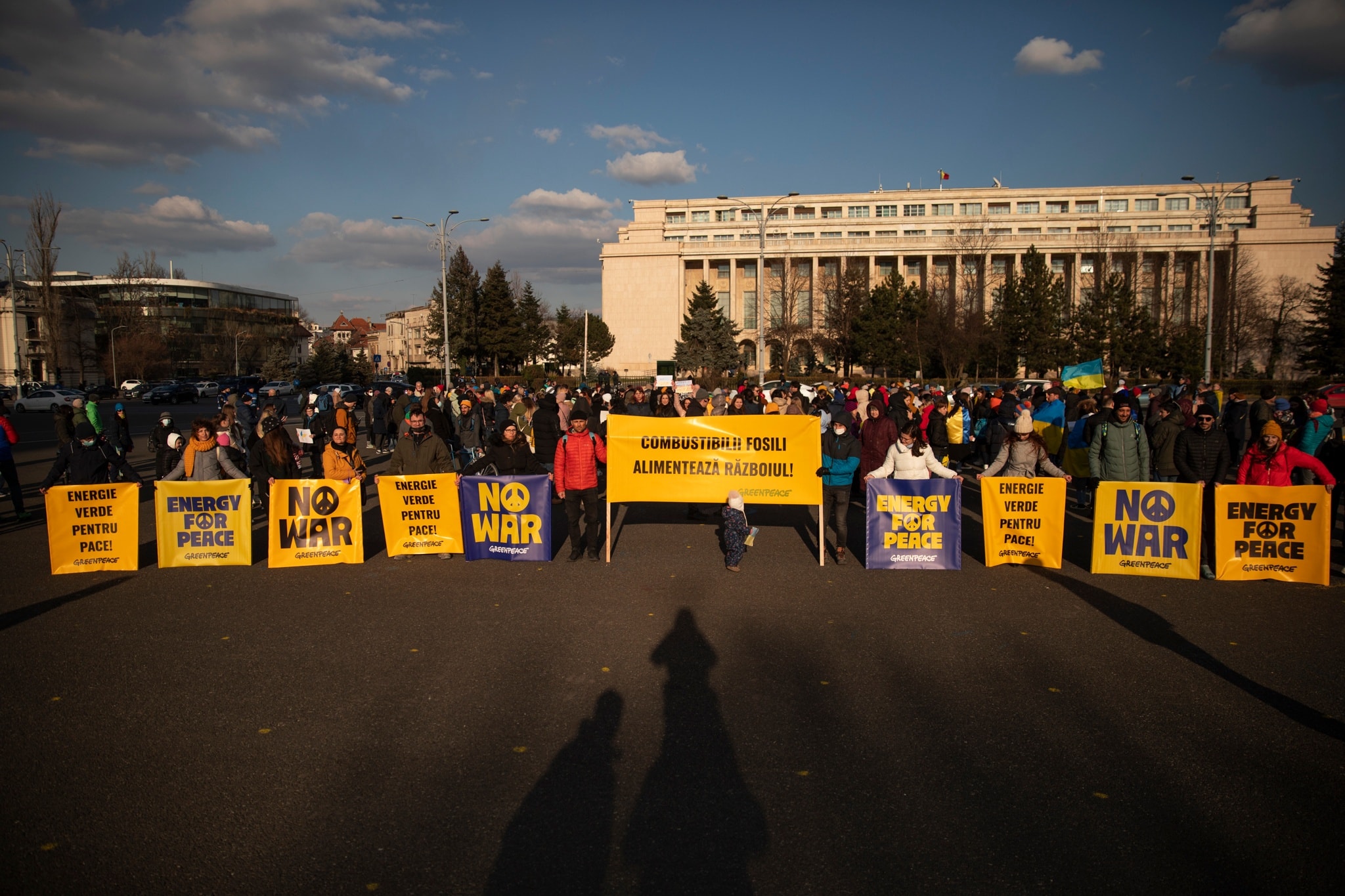 Despre noi - Greenpeace România