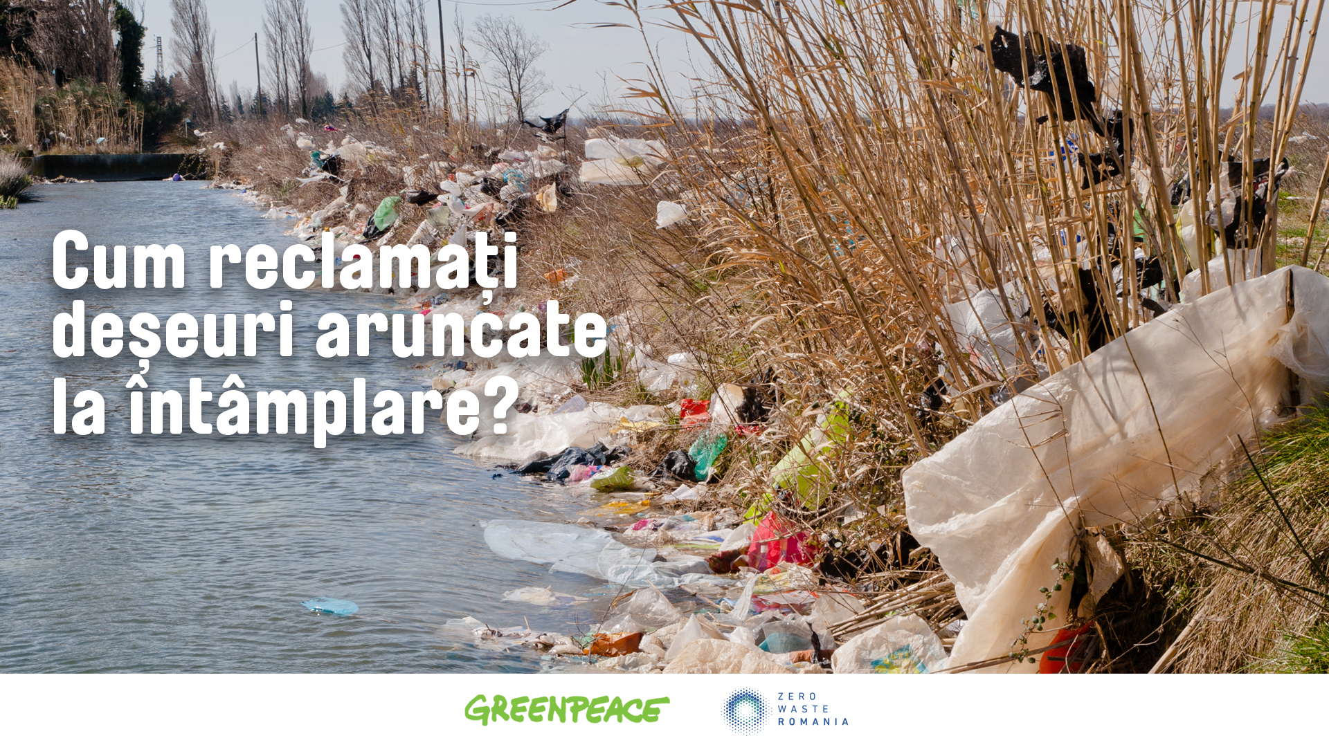 GHID | Cum reclamați deșeuri aruncate la întâmplare? - Greenpeace România