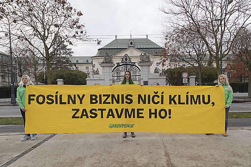 Začína COP28 - Greenpeace Slovensko