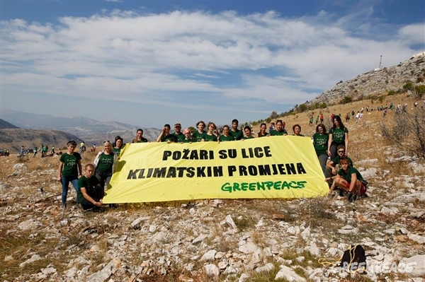 Skupinska slika pri pogozdovanju (Foto: Greenpeace)