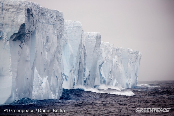 5 stvari, ki jih (verjetno) niste vedeli o Antarktiki - Greenpeace Slovenija