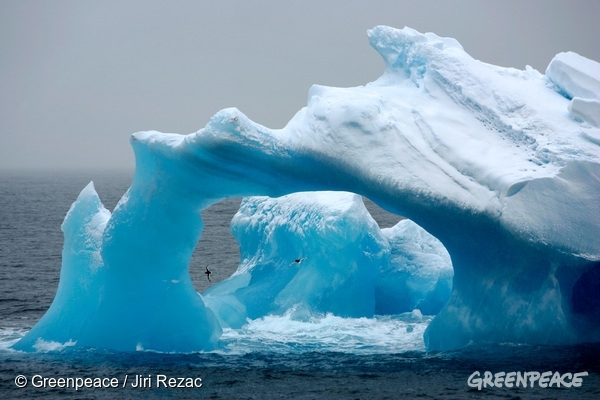 Kaj podnebne spremembe pomenijo za Antarktiko? - Greenpeace Slovenija