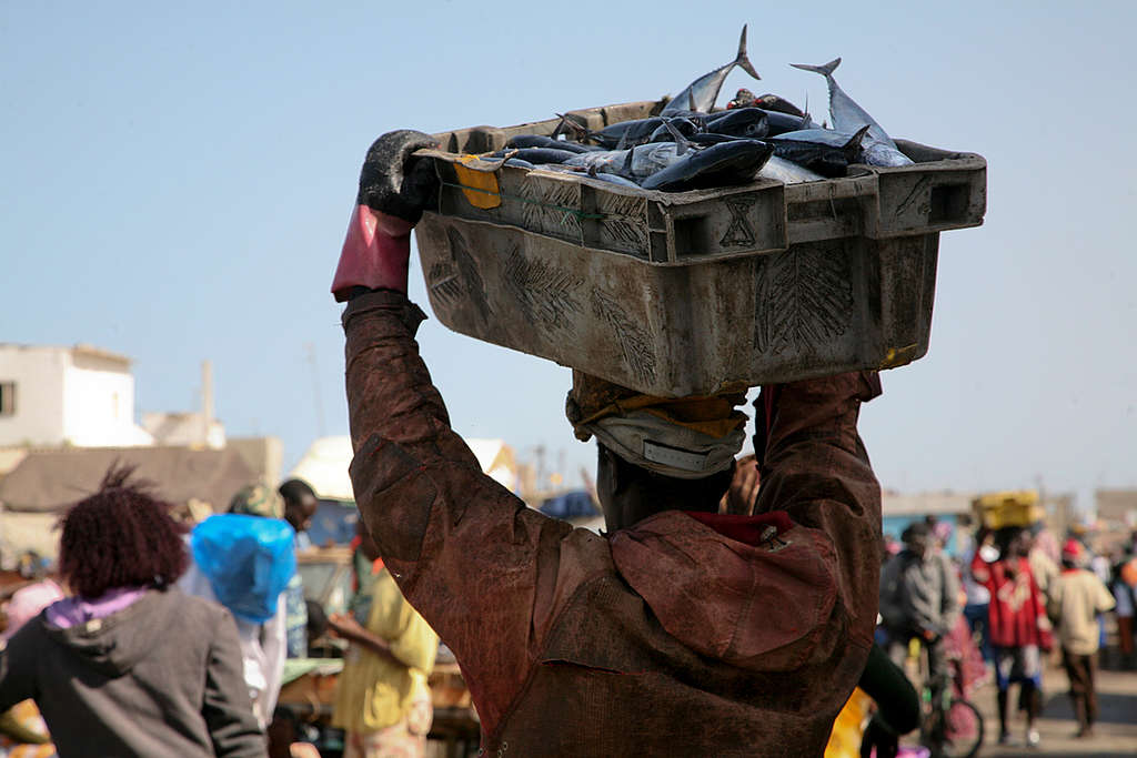 Fish Market in Senegal. © Jacky Danielly / Greenpeace