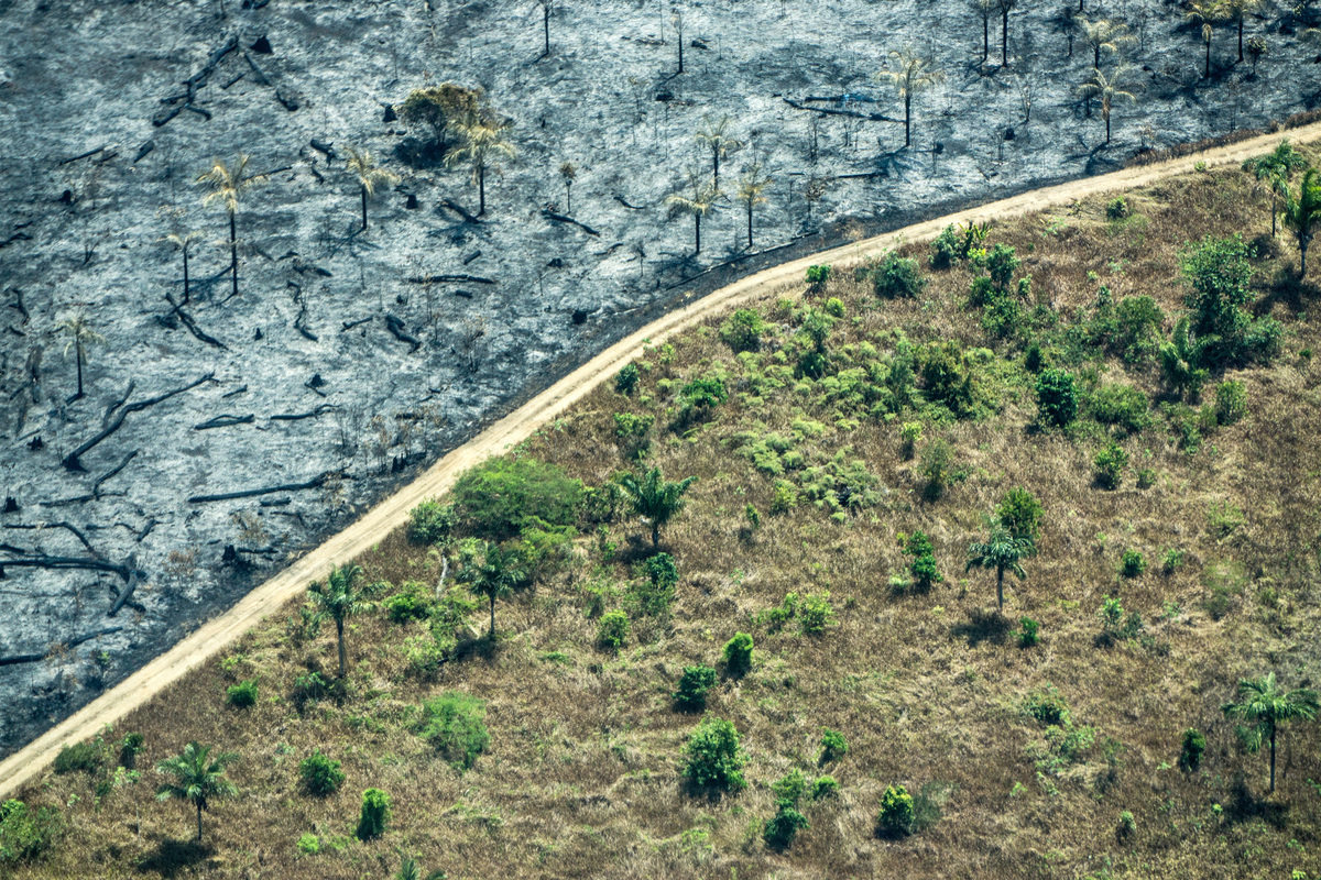 Deforestation in the Amazon Caused by Forest Fires. © Rogério Assis / Greenpeace