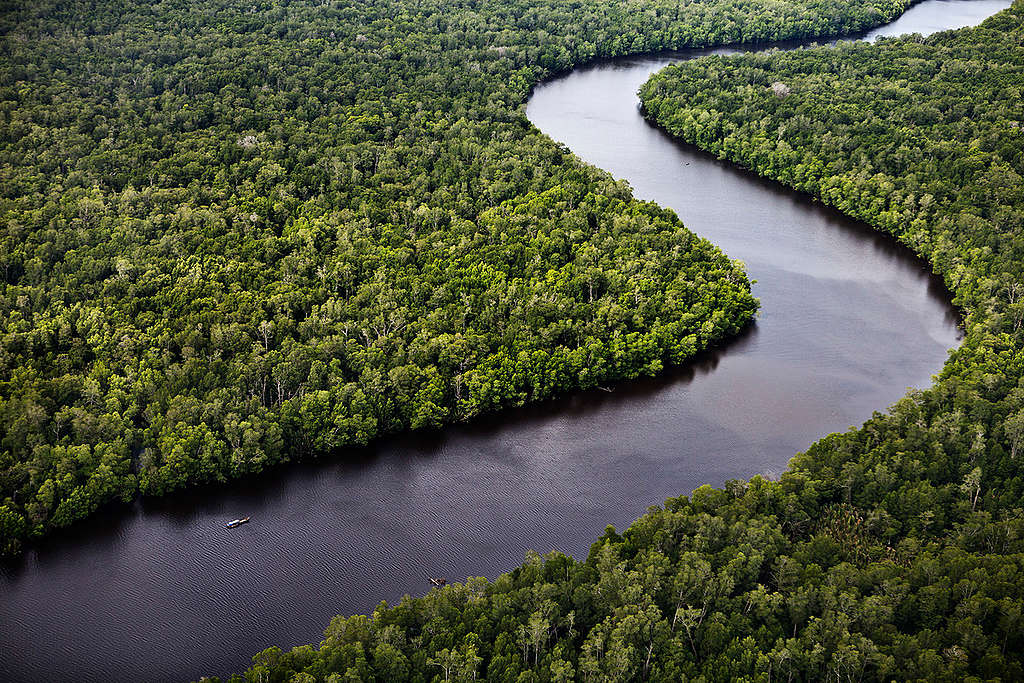 Sungai Sembilang Park in Sumatra. © Kemal Jufri / Greenpeace