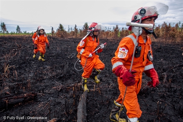 FFP team walk on burned peatland.