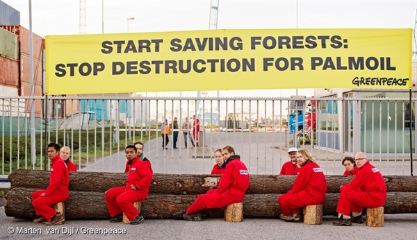 Greenpeace activists close off access for all imports and exports from palm oil trader IOI in the harbour of Rotterdam, palm oil’s gateway into Europe.
