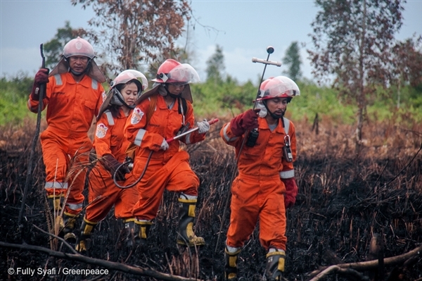 FFP Team in a mopping activity in West Kalimantan. 