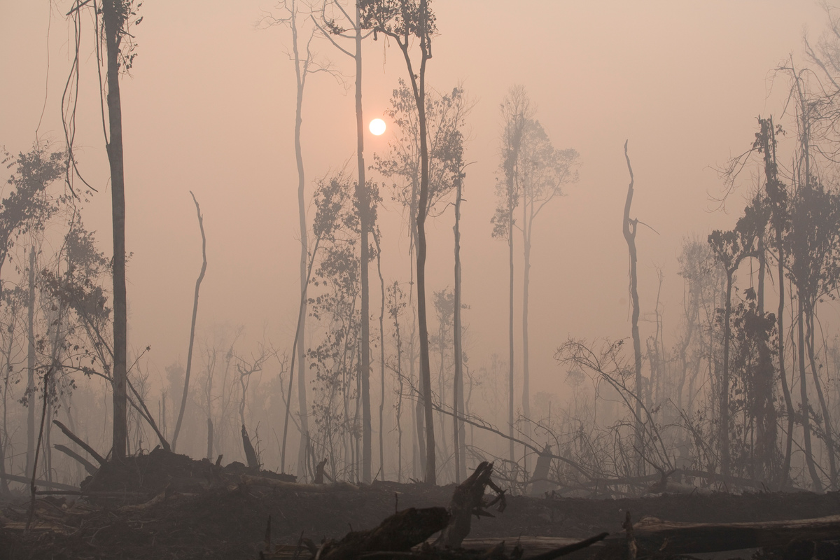 Aftermath of Forest Fire on the Kapuas River. © Greenpeace / Natalie Behring