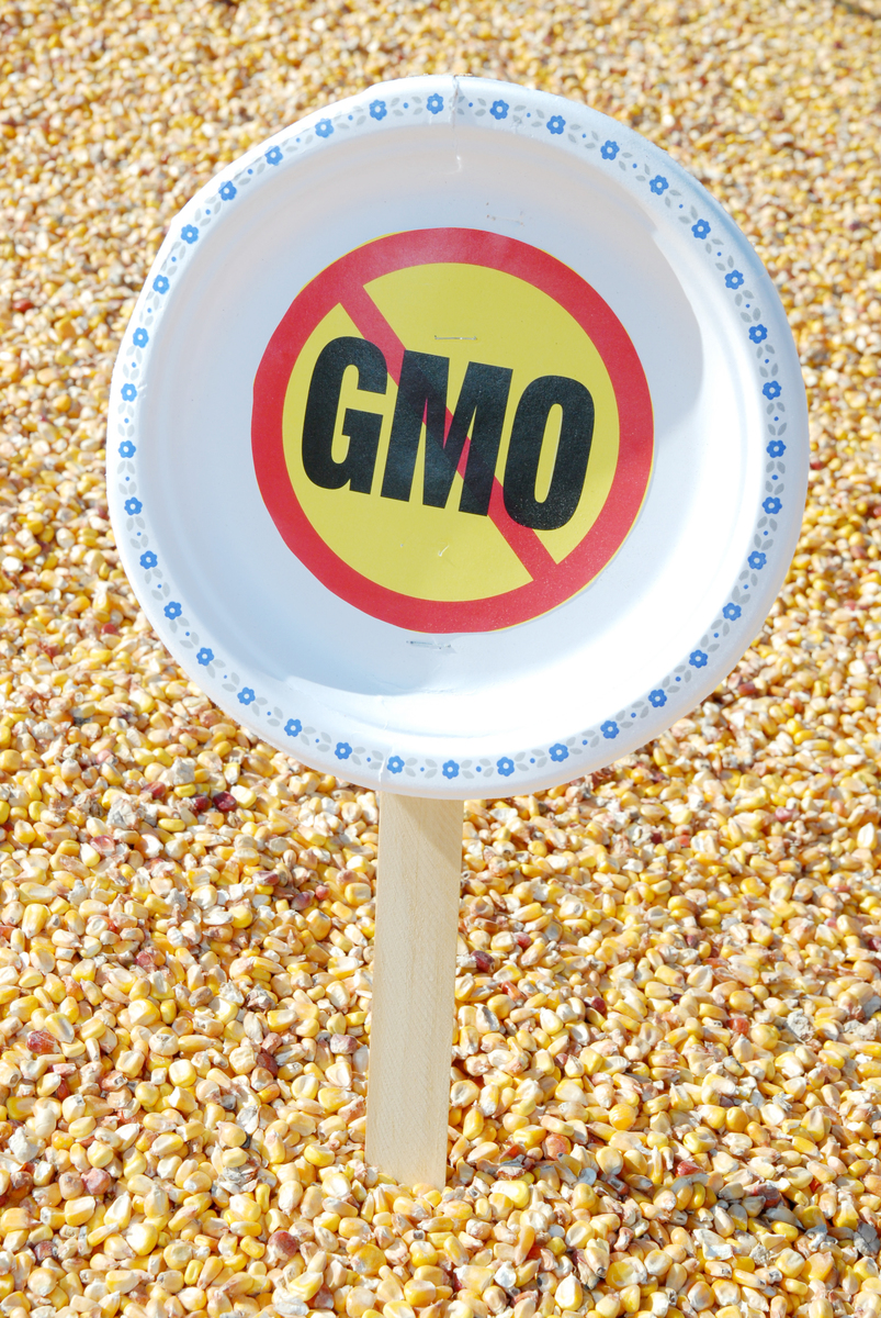 NO GMO Plate Sign. © Greenpeace / Genevieve Goyette