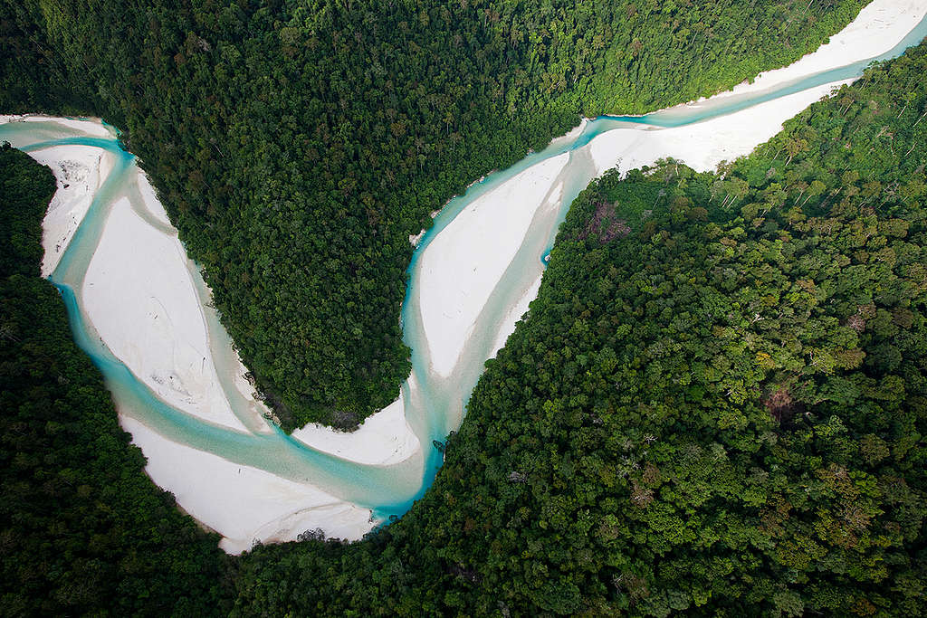 Bairaman River in Papua New Guinea. © Paul Hilton / Greenpeace