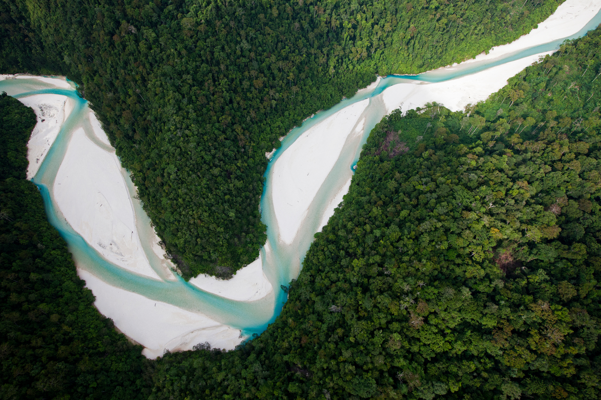 Bairaman River in Papua New Guinea. © Paul Hilton / Greenpeace