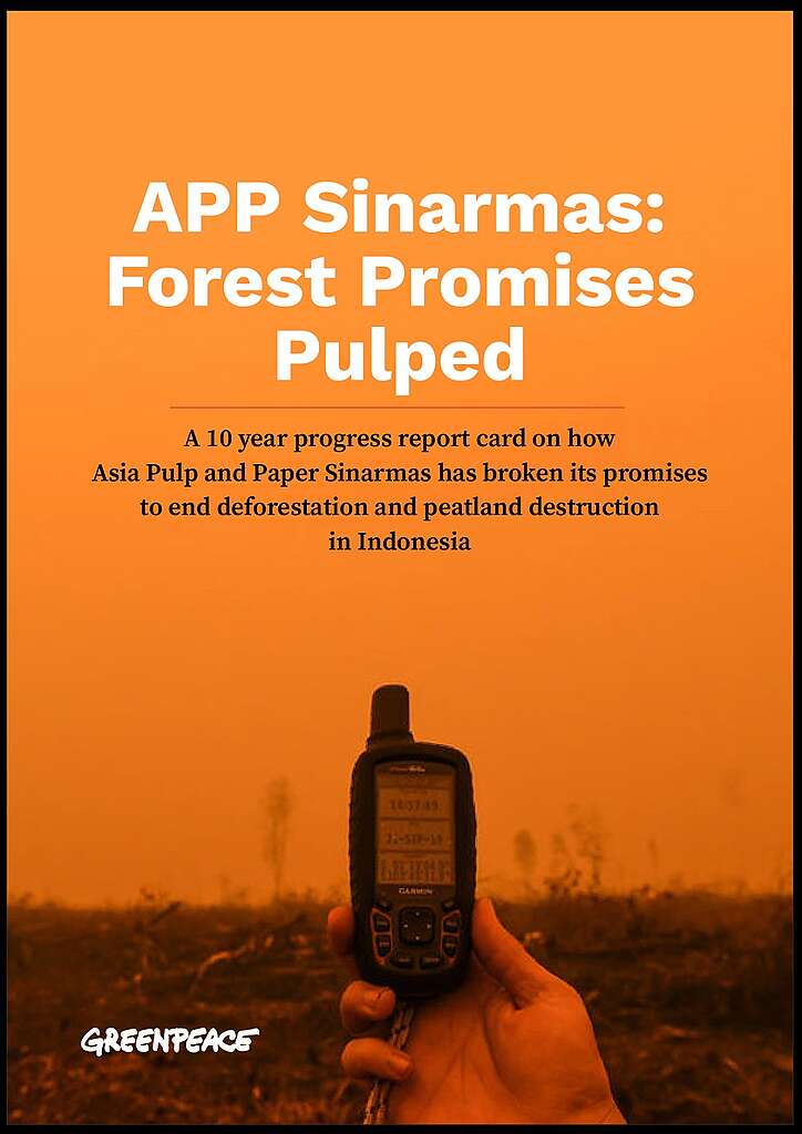 APP Sinarmas: Forest Promises Pulped
A 10 year progress report card on how Asia Pulp and Paper Sinarmas has broken its promises to end deforestation and peatland destruction in Indonesia