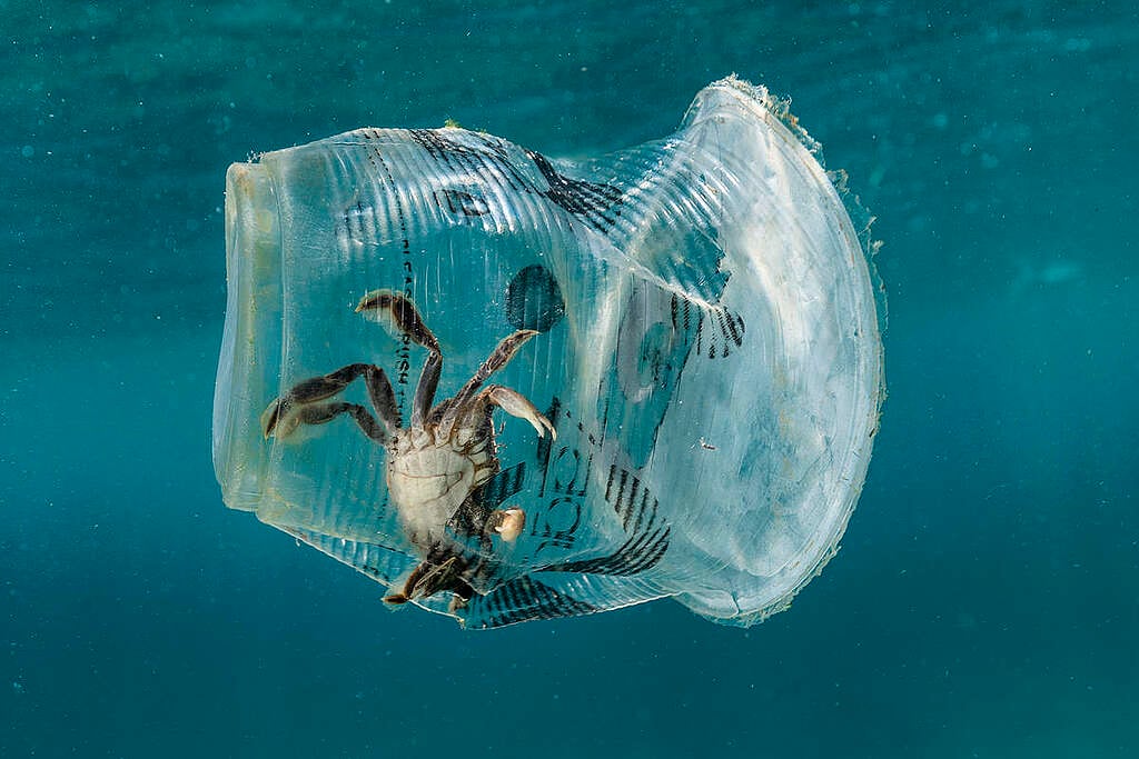 Plastic Waste in Verde Island, Philippines. © Noel Guevara / Greenpeace