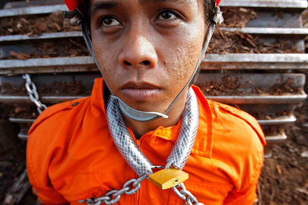 Sinar Mas Action in West Kalimantan. © Greenpeace / Ardiles Rante