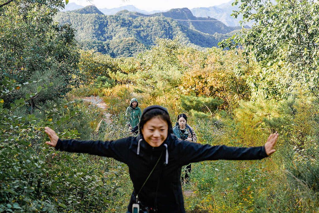 Workshop｜Camp for Better Forest in Beijing. © Greenpeace / Yan Tu
