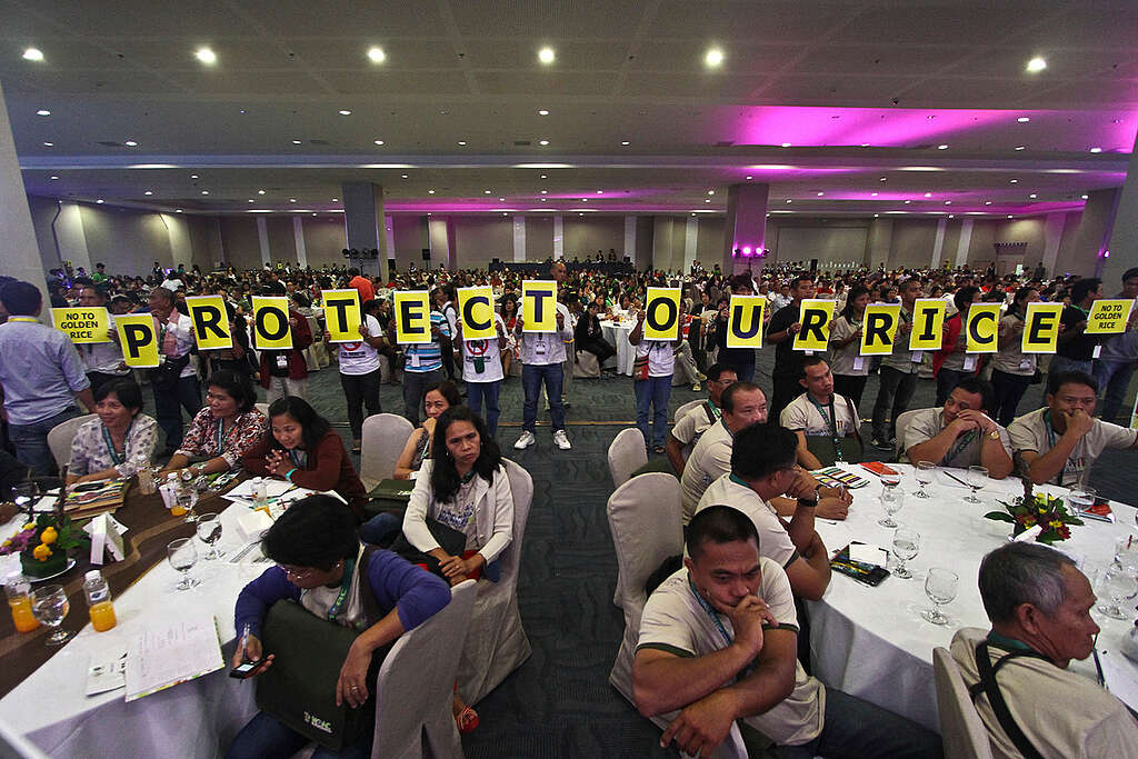 Protest against Golden Rice in Davao. © Karlos Manlupig / Greenpeace