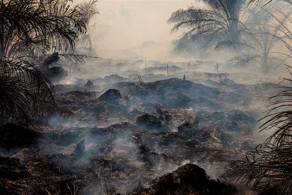 skogsbränder indonesien