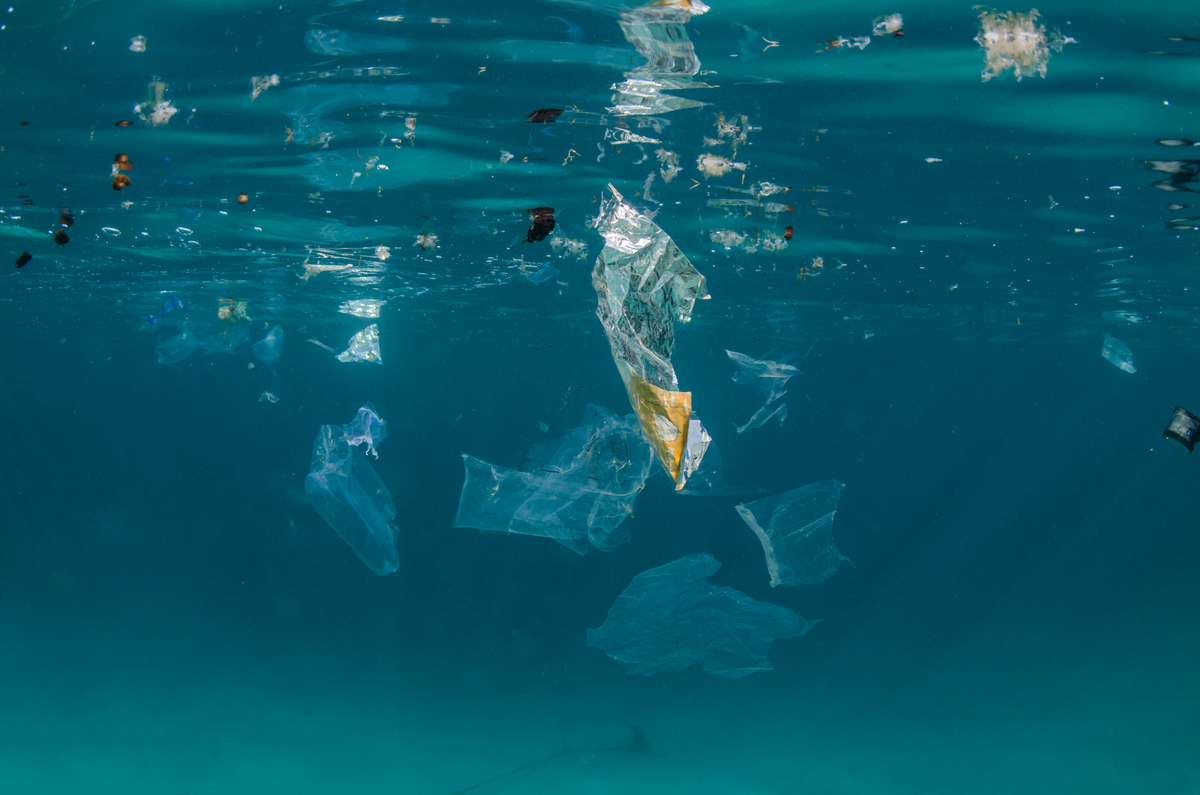 Plastic Pollution in Egypt. © Cherie Bridges