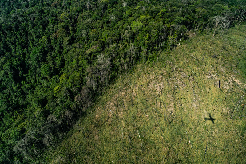 Skövlingen av Amazonas når nya rekordnivåer - Greenpeace Sweden