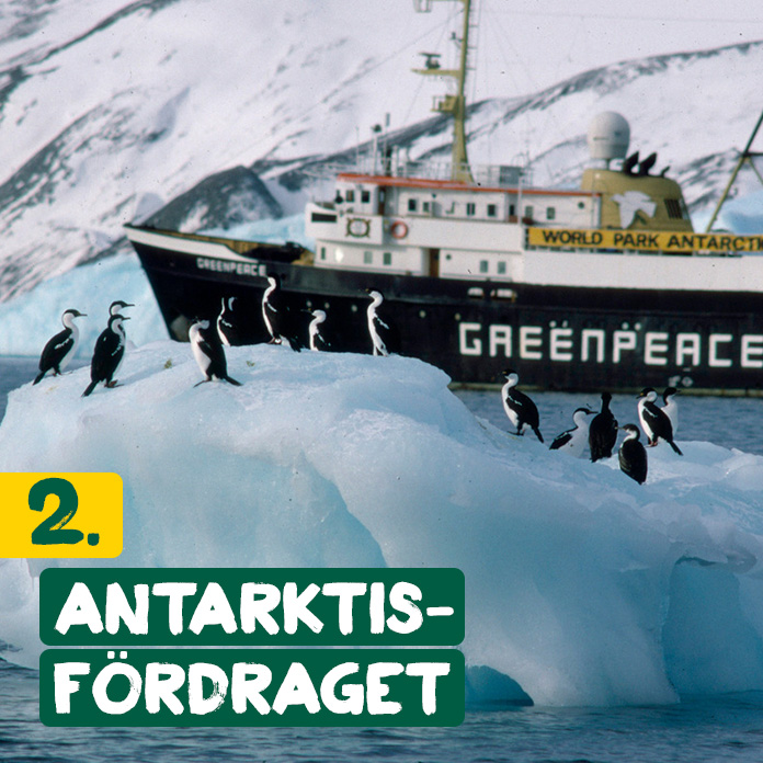 Greenpeace skepp i Antarktis bakom ett isberg med pingviner 