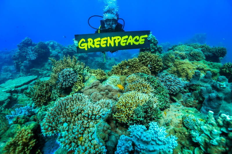 Dykare med Greenpeacebanner över koraller vid Hook Island på Stora Barriärrevet