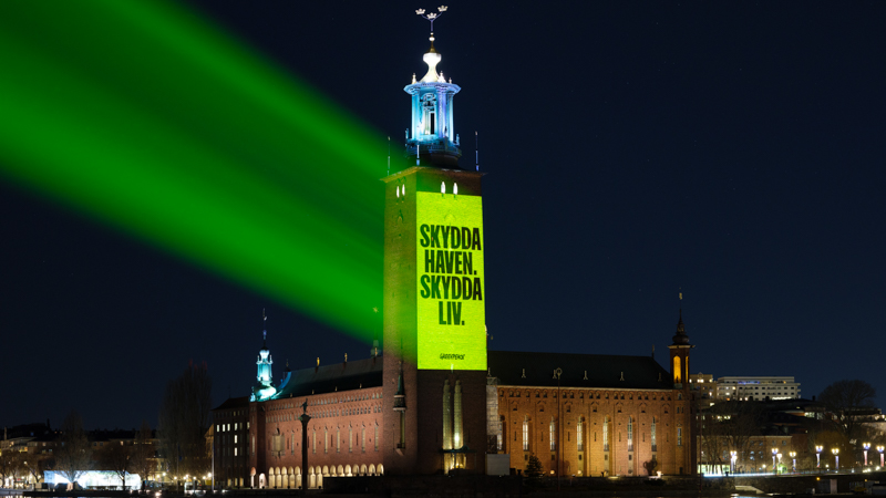 Video projiceras på Stockholms stadshus med budskapet Skydda haven, skydda liv.