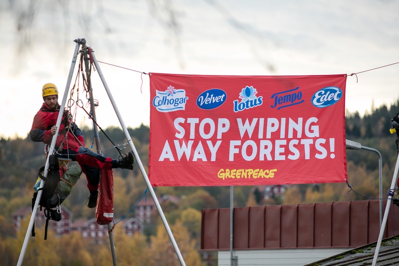 Greenpeaceaktivist i en ställning framför en pappersmassa fabrik med en banderoll.