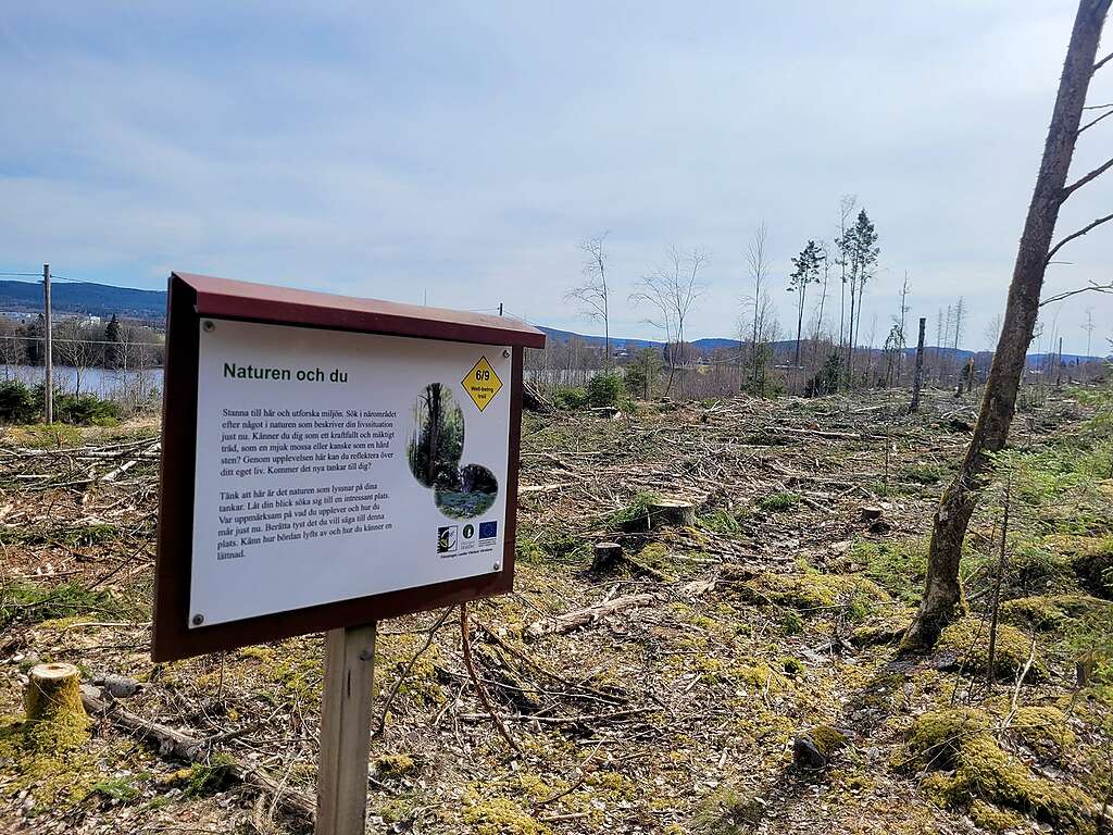 Ett kalhygge där en skylt, "Naturen och du", syns i förgrunden. 