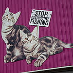 貓兒愛吃魚，也愛海洋：綠色和平成功推動寵物食品公司保護海洋