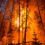 地球發燒了，全球災難性森林火災頻傳