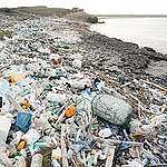 5個重點，了解全臺第一輪海洋廢棄物快篩調查結果