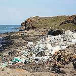 臺灣海邊有多少垃圾？全臺海岸快篩調查大解答