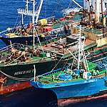 臺灣遠洋漁業不可再走回頭路